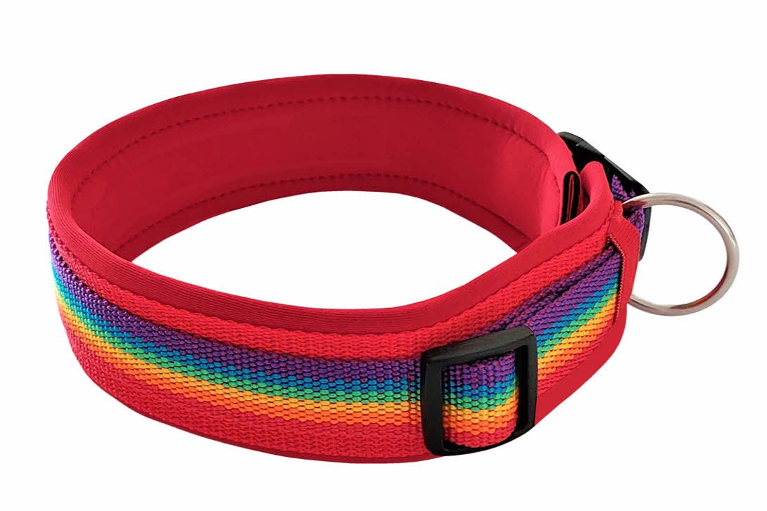 hundehalsband extra-breit neopren-polster Regenbogenfarben