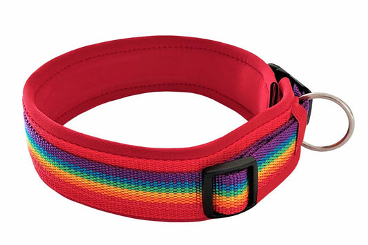 hundehalsband extra-breit neopren-polster Regenbogenfarben