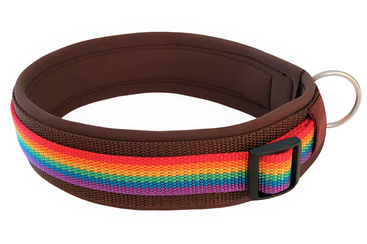 hundehalsband extra-breit neopren-polster Regenbogenfarben