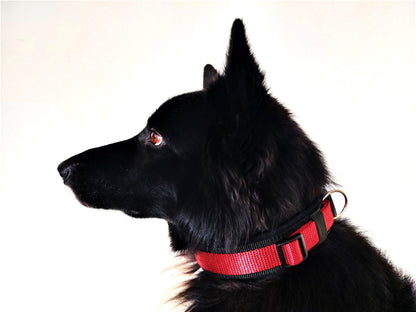 hundehalsband extra-breit neopren-polster rot