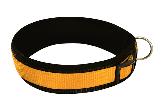 hundehalsband extra-breit neopren-polster gelb-auf-schwarz