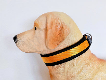 hundehalsband extra-breit neopren-polster gelb-auf-schwarz