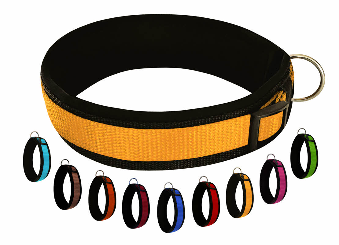 hundehalsband extra-breit neopren-polster gelb-auf-schwarz