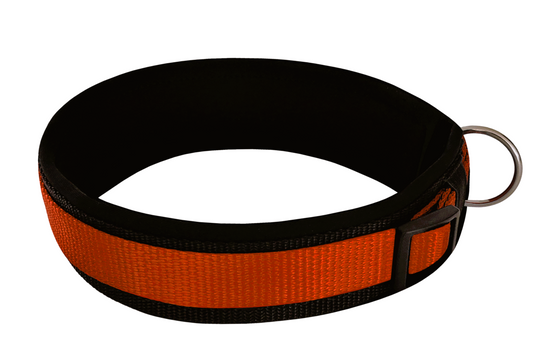 hundehalsband extra-breit neopren-polster orange-auf-schwarz