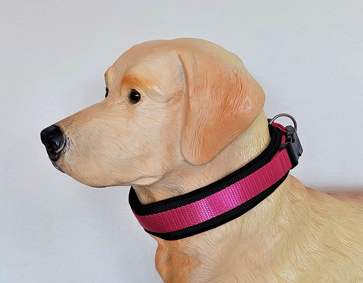 hundehalsband extra-breit neopren-polster pink-auf-schwarz