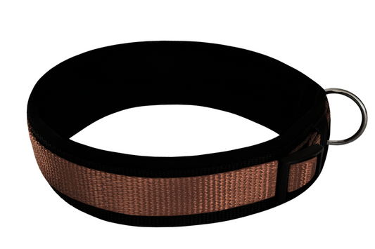 hundehalsband extra-breit neopren-polster braun-auf-schwarz